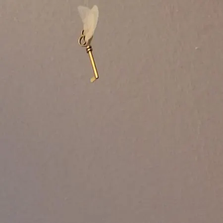 Fuchsbau Apartment *